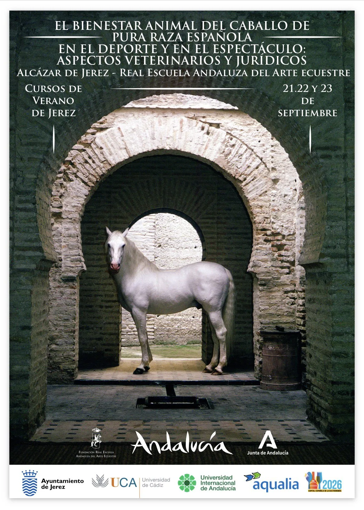 Curso de verano UCA sobre bienestar animal del caballo PRE — Jerez 2026