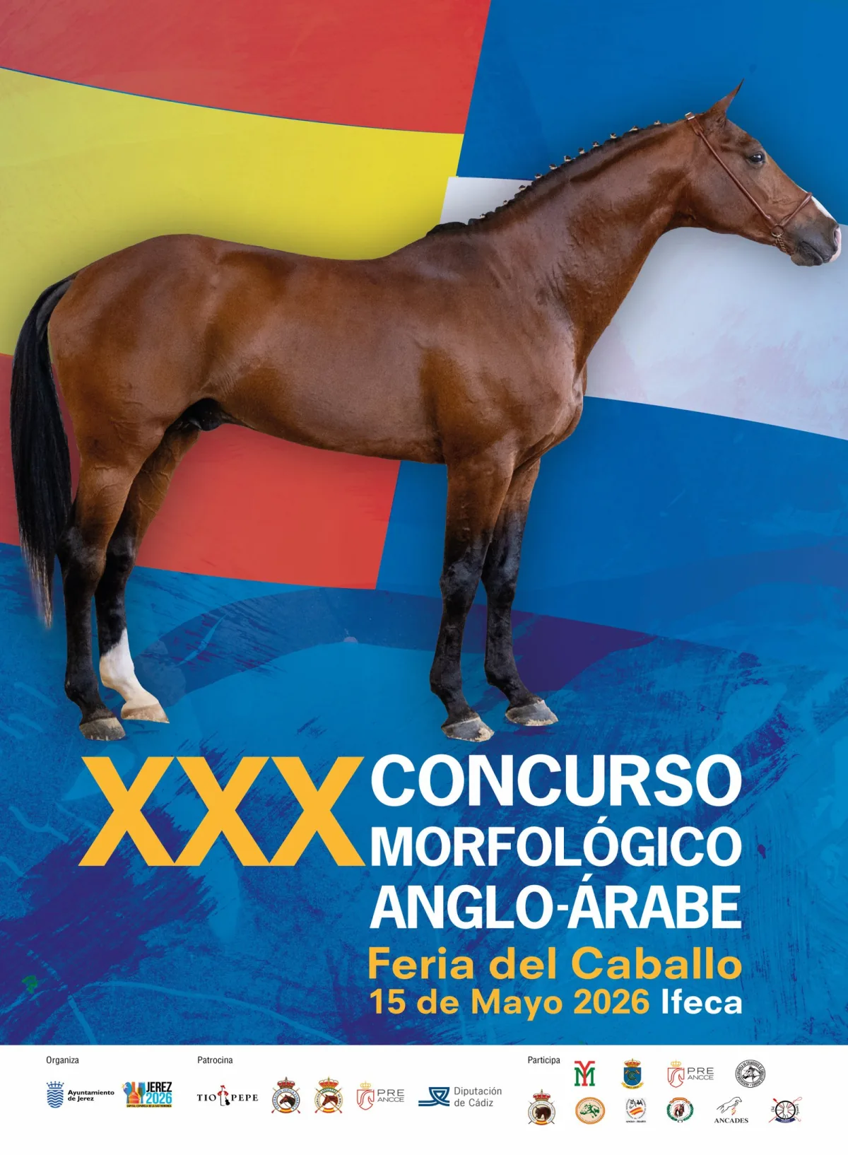 Cartel del XXX Concurso Morfológico Anglo-Árabe — Feria Ecuestre de Jerez 2026